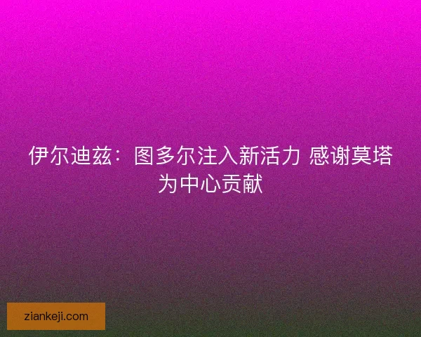 伊尔迪兹：图多尔注入新活力 感谢莫塔为中心贡献